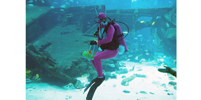 Meet the underwater bunny at S.E.A. Aquarium