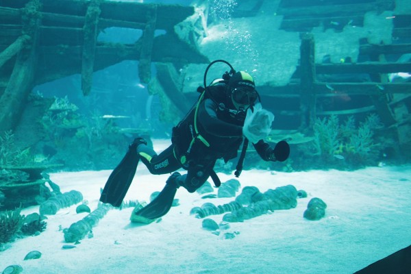 Diver at work