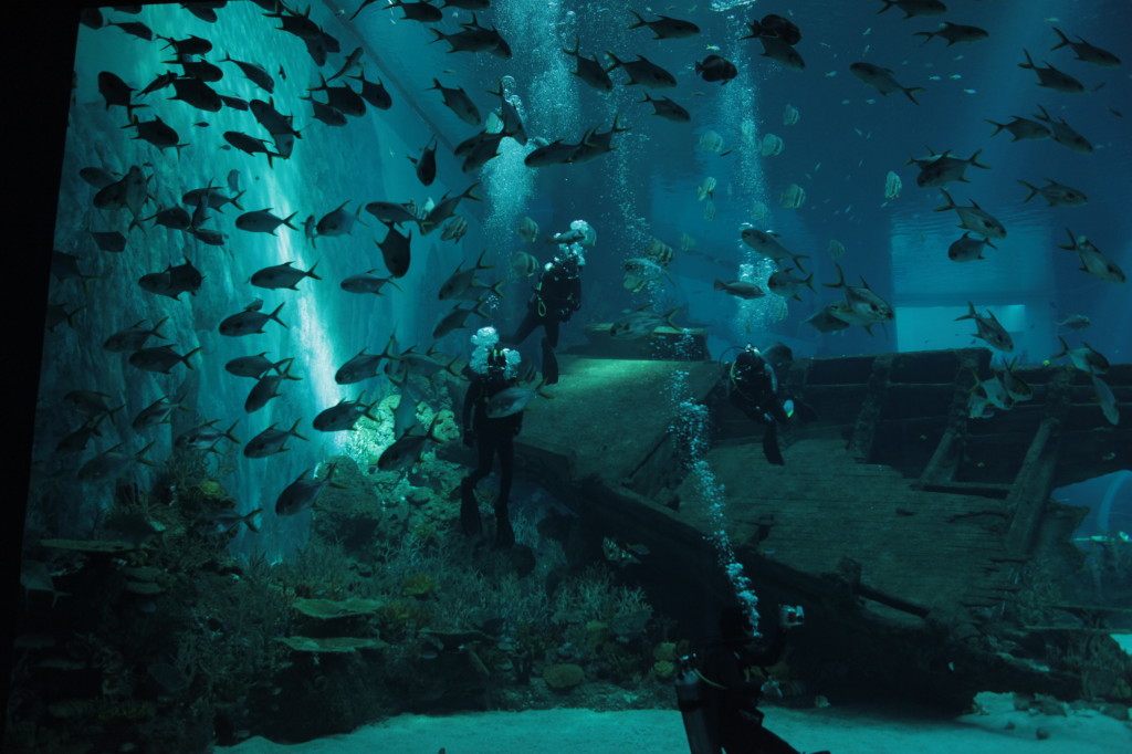 Fishes
