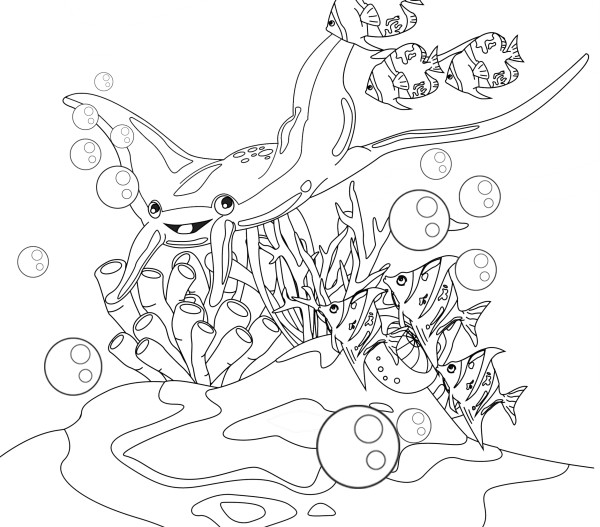Manta Ray Manta Ray
