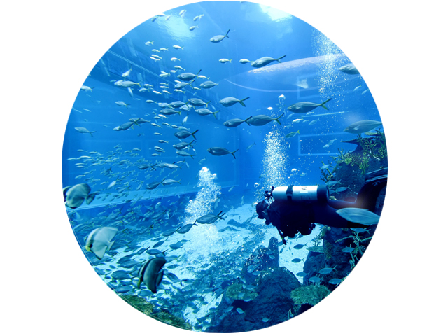 Visitor Information for the S.E.A. Aquarium
