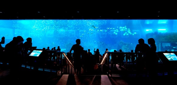Ocean Gallery_smaller