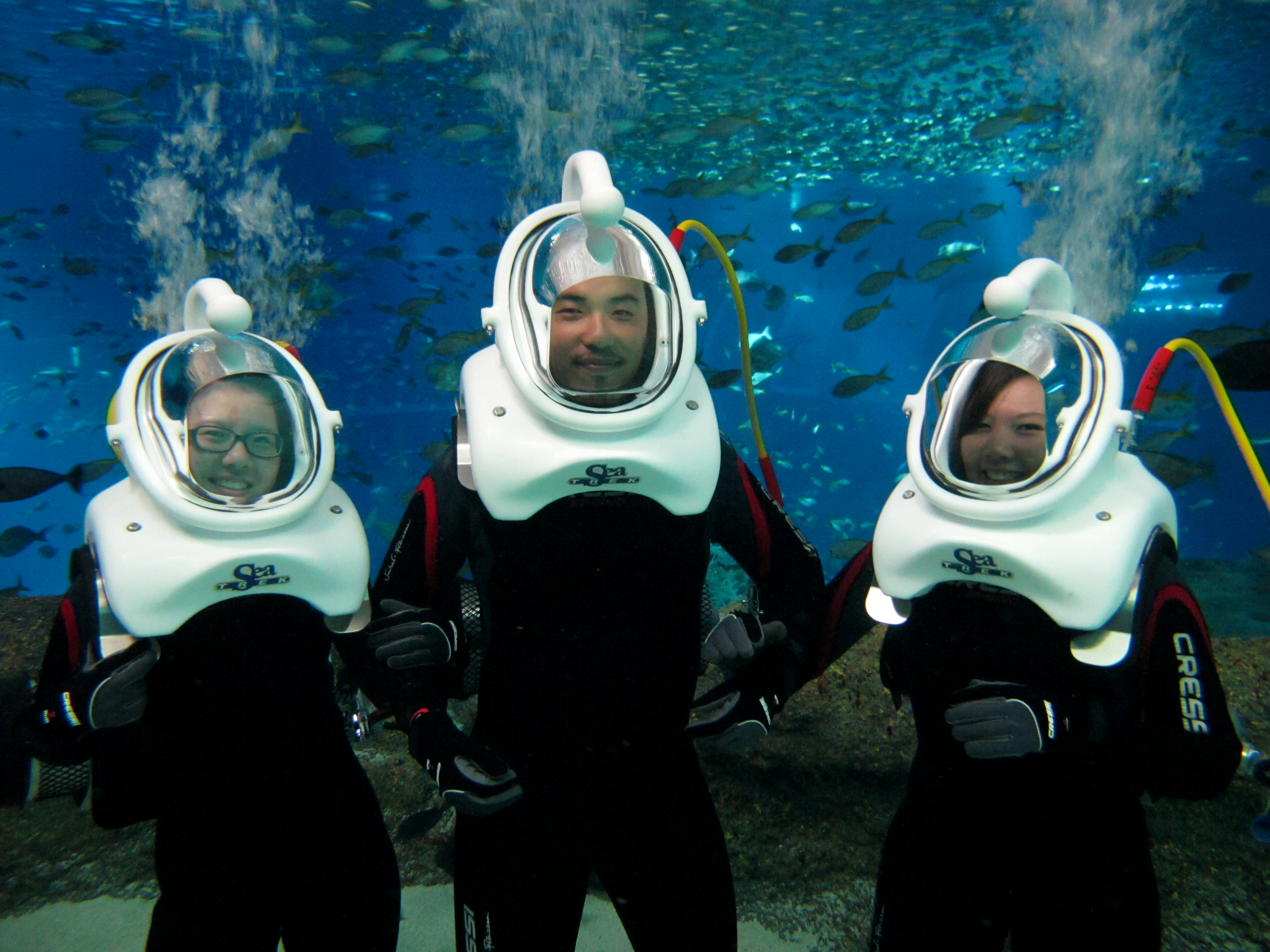 The writer (middle) with his fellow trekkers.