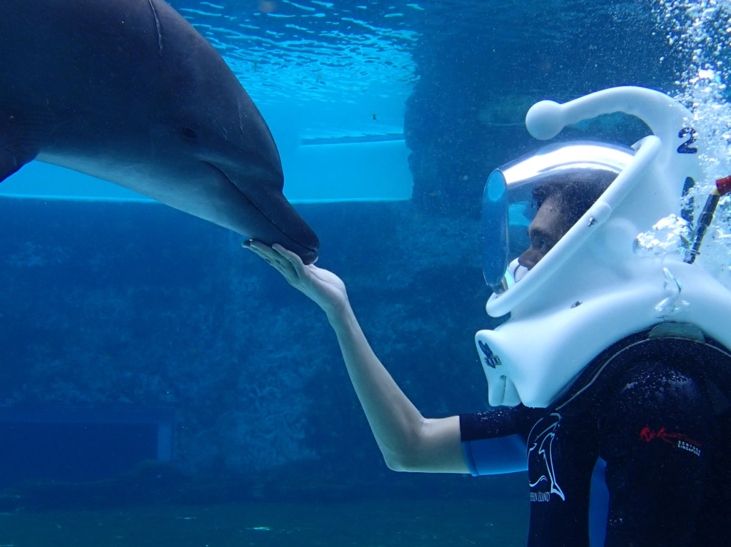 Dolphin Trek