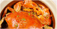 Mud crab