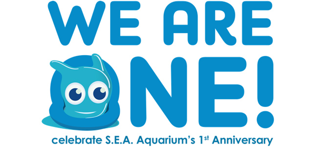 S.E.A. Aquarium turns one!