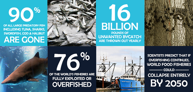 overfishing