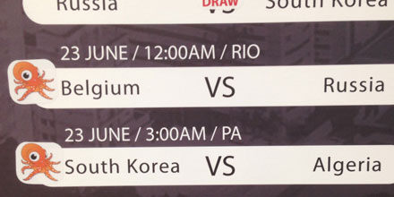 Pernas the Octopus predicts World Cup match