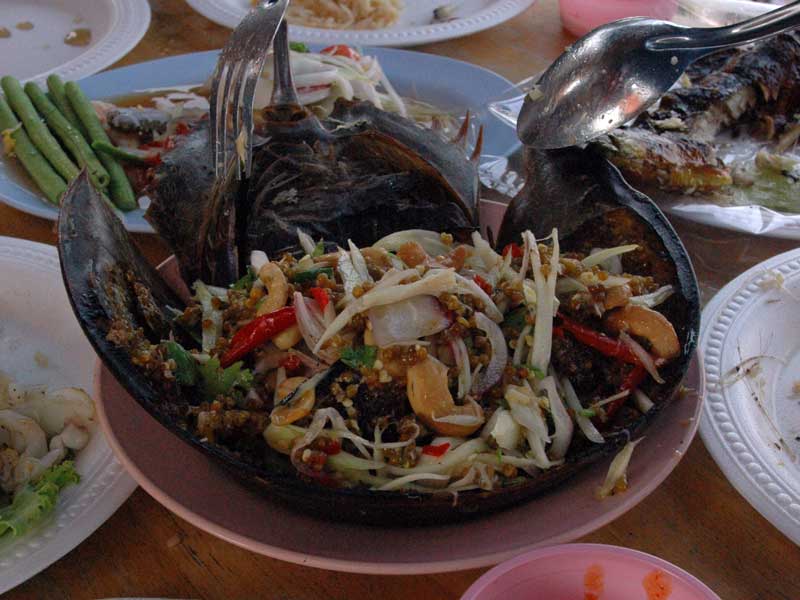 Cooked horseshoe crab
