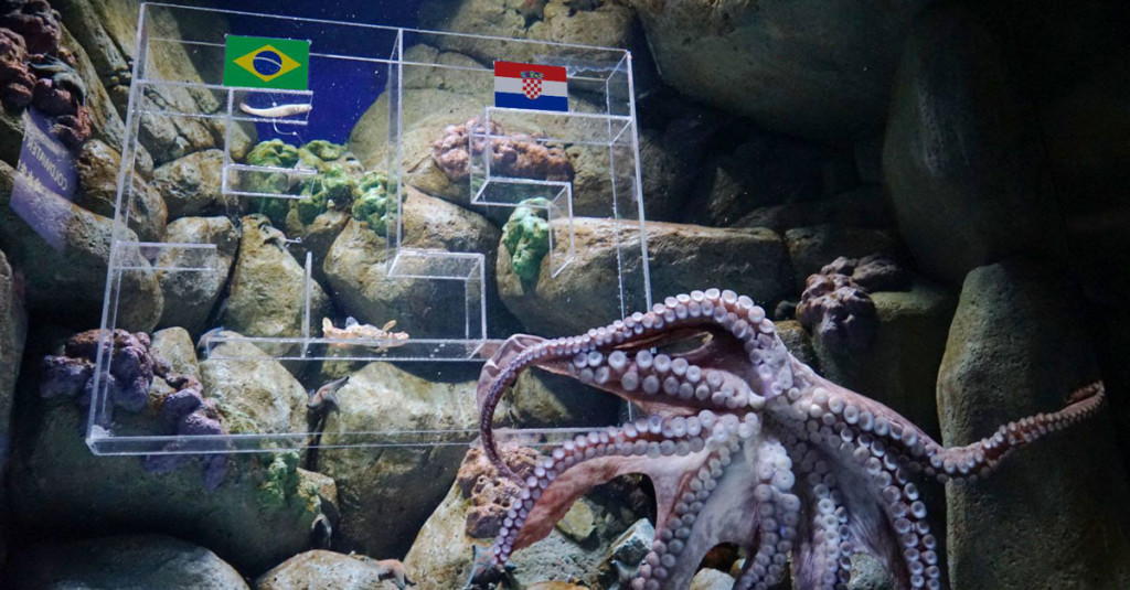 Pernas the Octopus