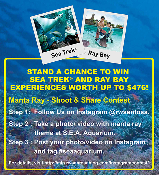 manta ray instagram