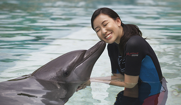 Dolphin VIP