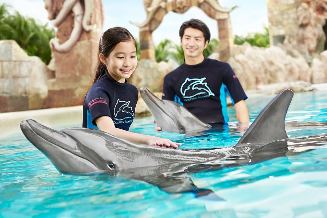 dolphin discovery featured