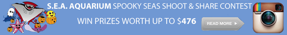 spooky-seas-instagram