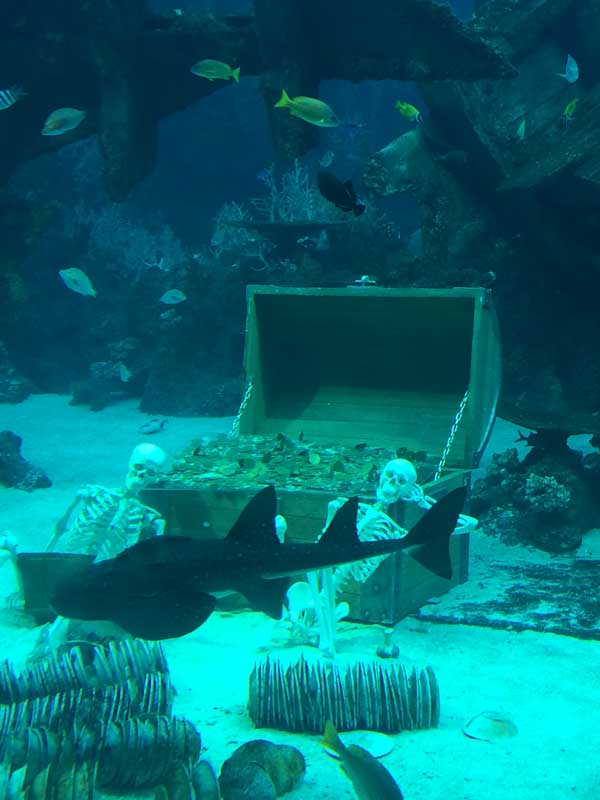 spooky-seas-treasure-chest