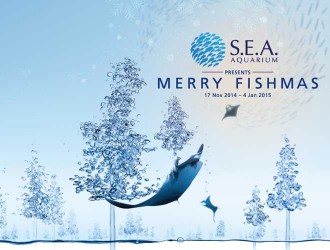 christmas at s.e.a. aquarium