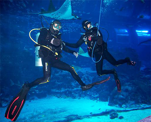 diver talk at S.E.A. Aquarium