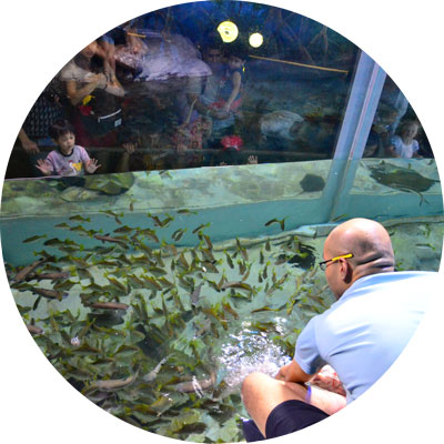 feeding-mangrove-400