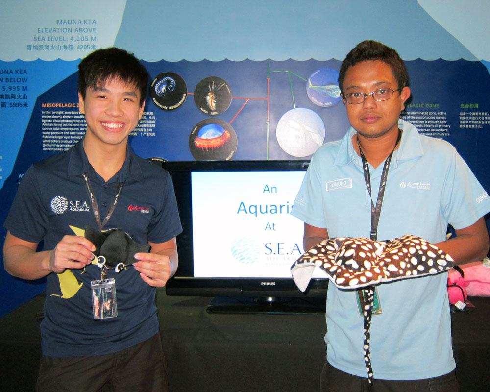 Aquarist Talk at S.E.A. Aquarium