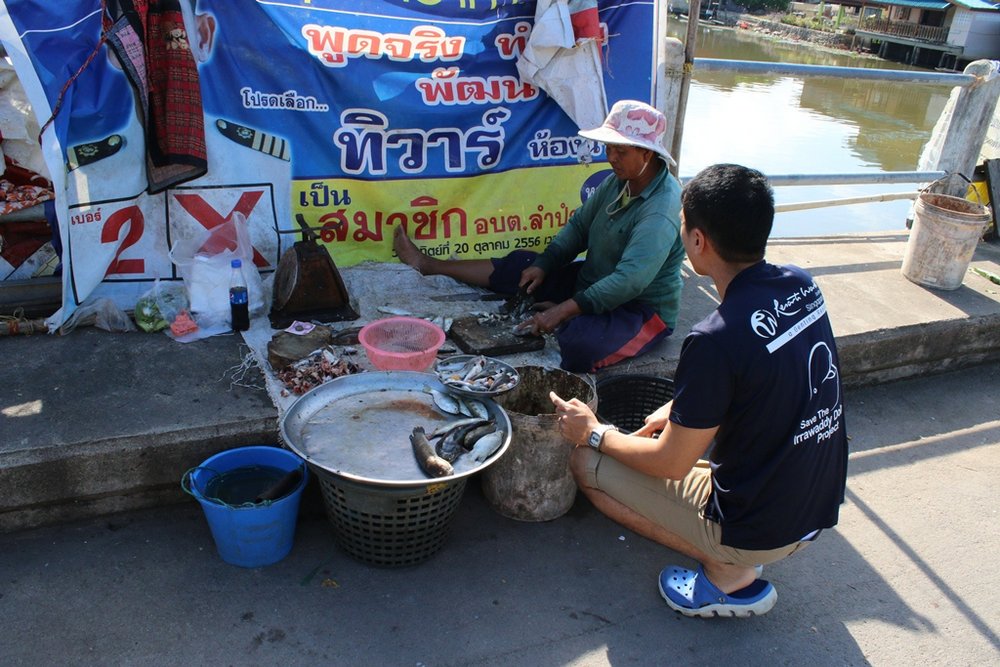 dr komsin market