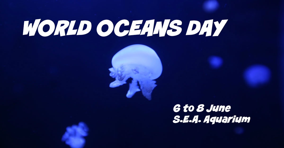 Celebrate our Blue Planet at S.E.A. Aquarium from 6 June
