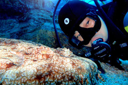 ornate-wobbegong-shark-selfie-featured