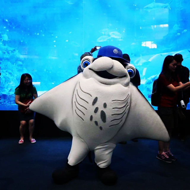 Manta Mascot at S.E.A. Aquarium