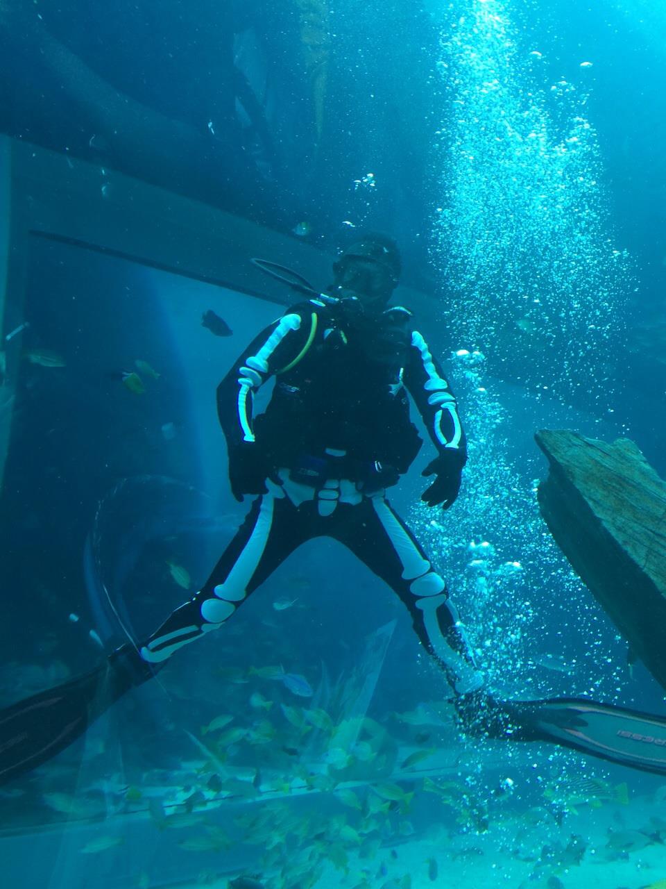 spooky seas diver