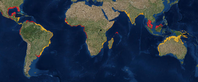 Population of Largetooth Sawfish . Yellow= Still in existence. Red = Possibly Extinct.