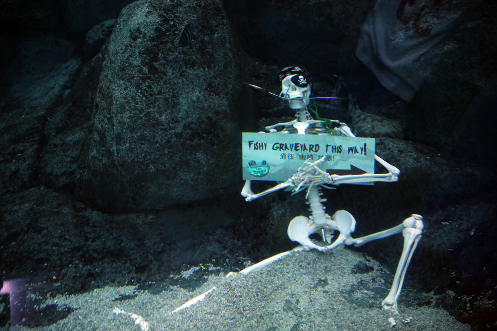 Spooky Seas S.E.A. Aquarium
