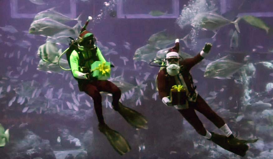 diving-santa-elf--merry-fishmas