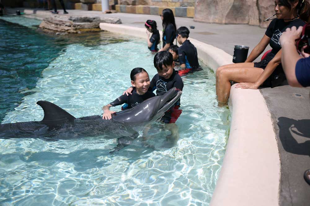 kids-quest-dolphin-island-interaction