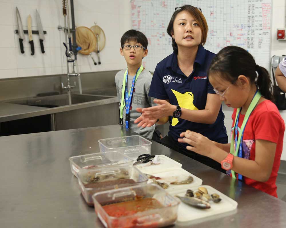 kids-quest-fish-food