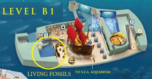 living-fossils-map