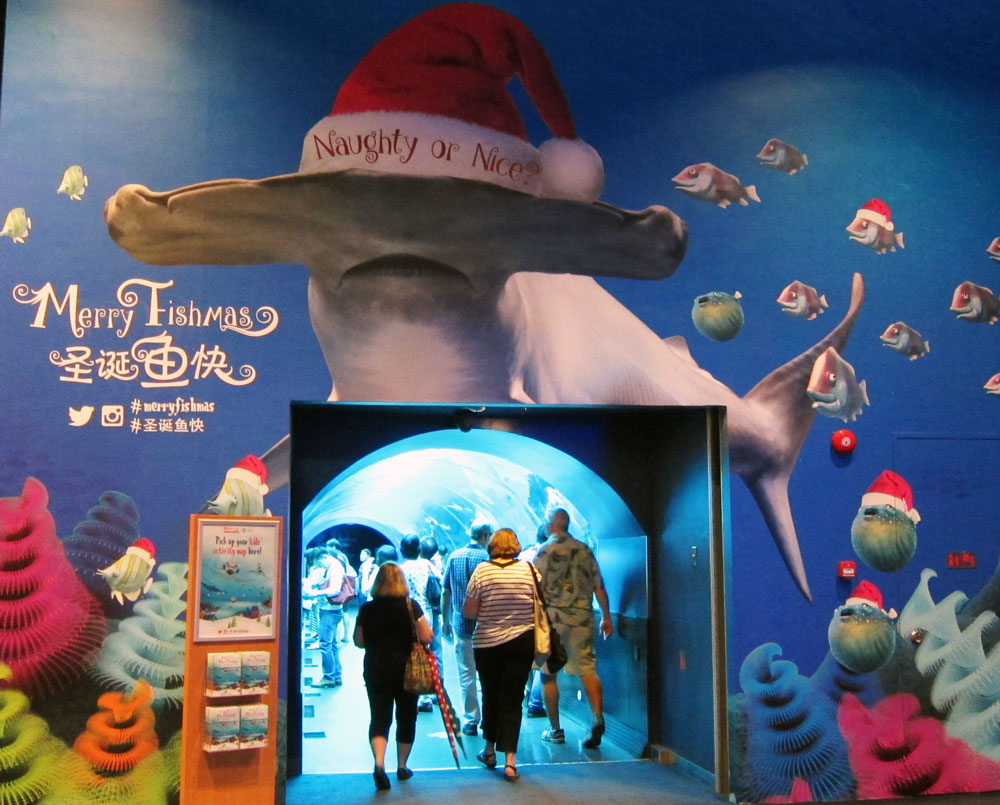 merry-fishmas-manta