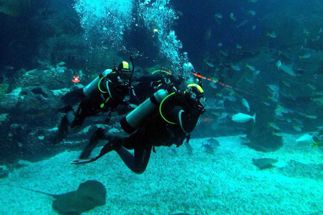 open-ocean-diver-featured-660