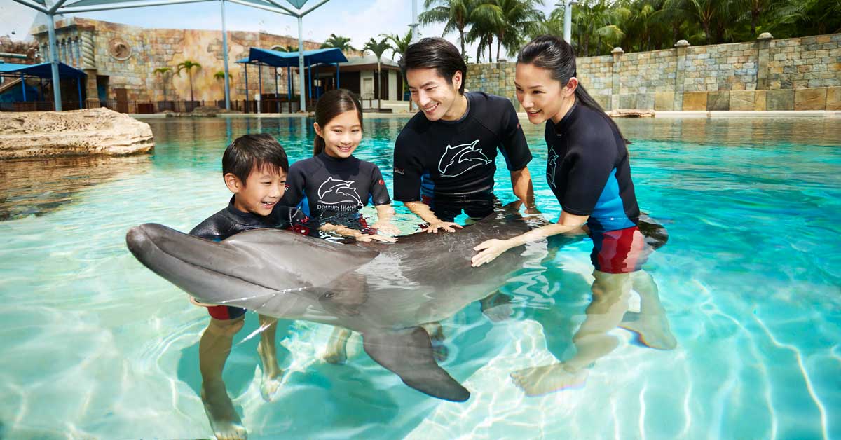 dolphin-discovery-fb
