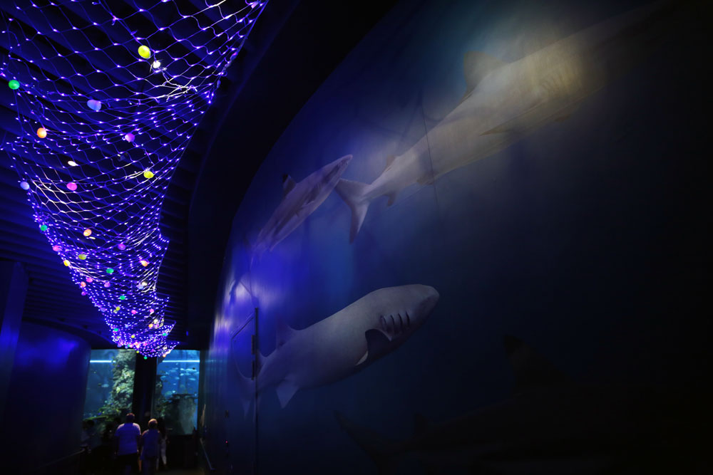 S.E.A. Aquarium Easter