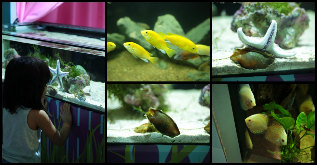 S.E.A. Aquarium Easter