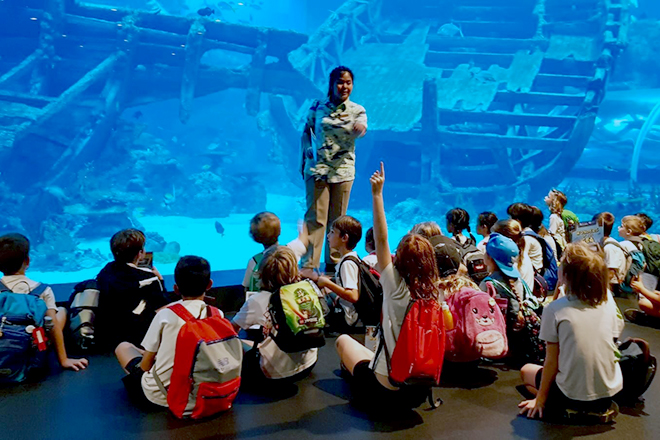 Wonders of the sea