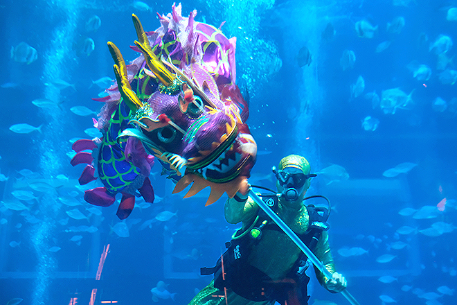 S.E.A. Aquarium CNY 2019